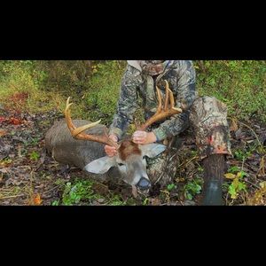 Meet your Posher, Ashton